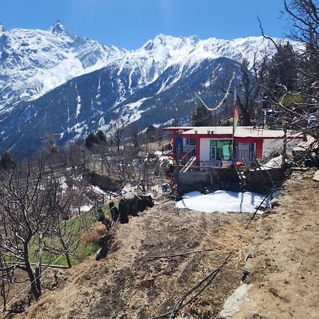 Safarnama Retreat Homestay - All Rooms With Mountain View Kalpa Zewnętrze zdjęcie